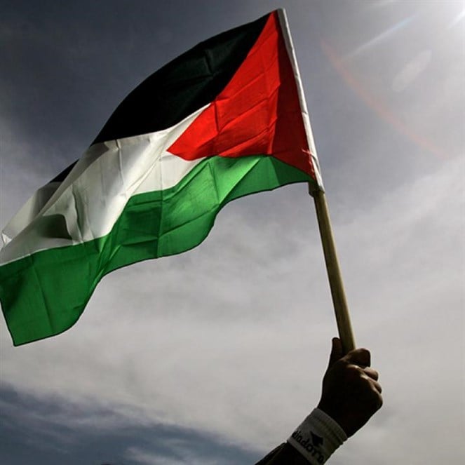Internationale erkenning van Palestina groeit te midden van genocide in Gaza